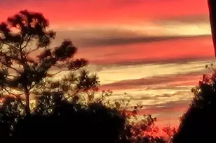 1336 NE 154 Ave, Williston, FL 32696 - Photo 42