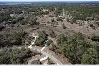 1336 NE 154th Avenue, Williston, FL 32696 - Photo 50