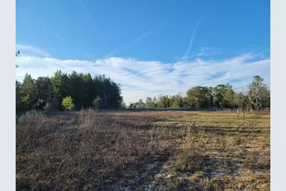 0 NE 20th Street, Williston, FL 32696 - Photo 10