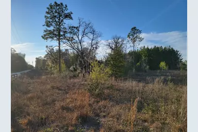 0 NE 20th Street, Williston, FL 32696 - Photo 8