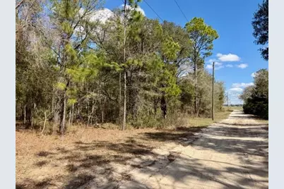 Tba SE 66th Place, Morriston, FL 32668 - Photo 4