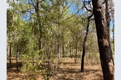 Tba SE 66th Place, Morriston, FL 32668 - Photo 6