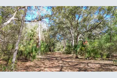 13455 NE 228th Lane Road, Fort Mc Coy, FL 32134 - Photo 58