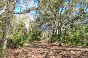 13455 NE 228 Ln Rd, Fort Mc Coy, FL 32134 - Photo 58