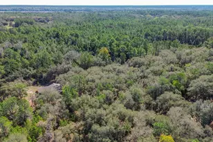 13455 NE 228 Ln Rd, Fort Mc Coy, FL 32134 - Photo 64