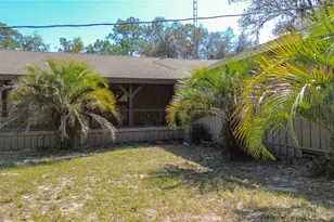 13455 NE 228 Ln Rd, Fort Mc Coy, FL 32134 - Photo 50