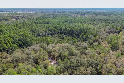 13455 NE 228th Lane Road, Fort Mc Coy, FL 32134 - Photo 68