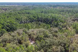 13455 NE 228 Ln Rd, Fort Mc Coy, FL 32134 - Photo 68
