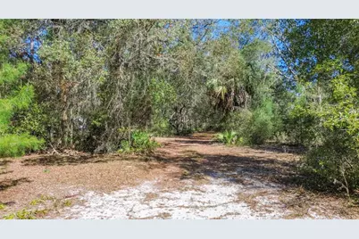 13455 NE 228th Lane Road, Fort Mc Coy, FL 32134 - Photo 60