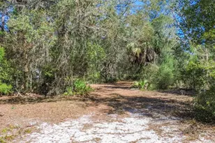 13455 NE 228 Ln Rd, Fort Mc Coy, FL 32134 - Photo 60