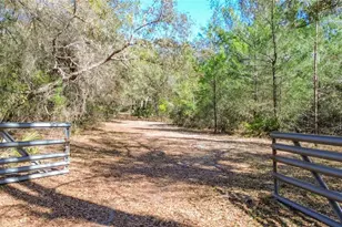 13455 NE 228 Ln Rd, Fort Mc Coy, FL 32134 - Photo 56