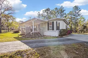 14430 E Levy St, Williston, FL 32696 - Photo 4