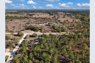 14430 E Levy Street, Williston, FL 32696 - Photo 38