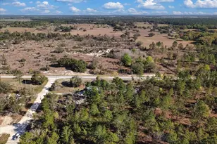 14430 E Levy St, Williston, FL 32696 - Photo 38