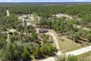 14650 SE 6 Ln, Williston, FL 32696 - Photo 8