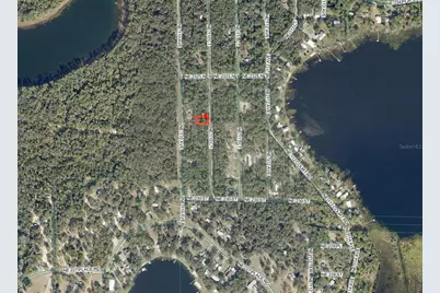 Tbd NE 110th Court, Fort Mc Coy, FL 32134 - Photo 2