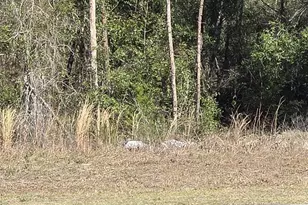 Bay Rd, Ocklawaha, FL 32179 - Photo 1