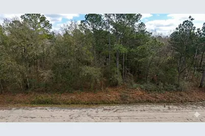 10230 Zigler Avenue, Hastings, FL 32145 - Photo 2