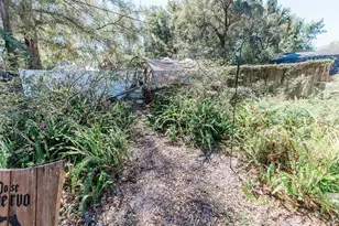 1013 E Chelsea St, Tampa, FL 33603 - Photo 22