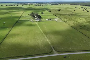 7970 SW 140th Ave, Dunnellon, FL 34432 - Photo 14