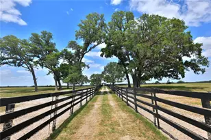 7970 SW 140th Ave, Dunnellon, FL 34432 - Photo 8