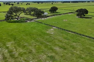 7970 SW 140th Ave, Dunnellon, FL 34432 - Photo 36