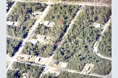 0 Fisher Trace Trail E, Ocklawaha, FL 32179 - Photo 2