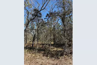 Tba SE 134th Terrace Terrace, Dunnellon, FL 34431 - Photo 1