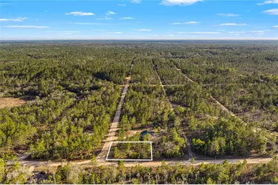 000 Rose Street, Interlachen, FL 32148 - Photo 10