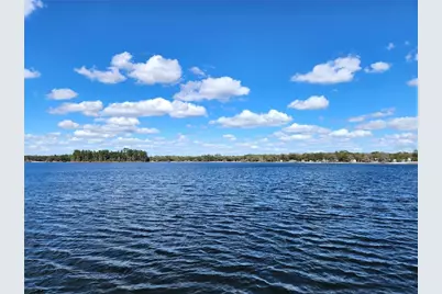 10915 NE 222nd Street, Fort Mc Coy, FL 32134 - Photo 2