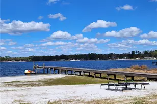 10915 NE 222 St, Fort Mc Coy, FL 32134 - Photo 24