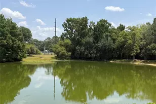 1316 SE 17 St, Ocala, FL 34471 - Photo 30