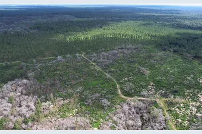 7158 N Lecanto Hwy Highway, Hernando, FL 34442 - Photo 8