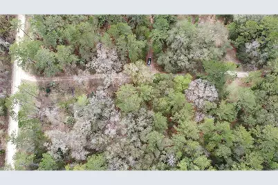 00 SW 9th Place, Ocala, FL 34481 - Photo 4