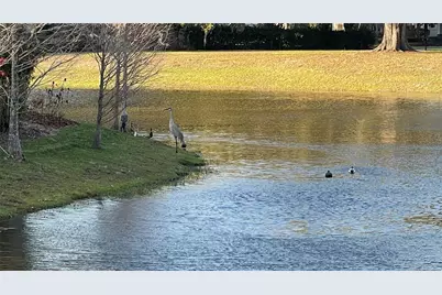 19655 Spring Oak Drive, Eustis, FL 32736 - Photo 44