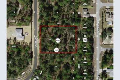 4035 W Abeline Drive, Citrus Springs, FL 34433 - Photo 1