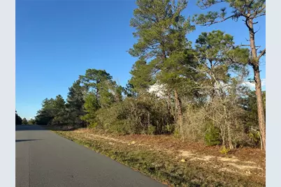 4035 W Abeline Drive, Citrus Springs, FL 34433 - Photo 4