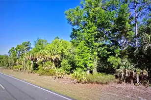 10487 W Dunnellon Rd, Crystal River, FL 34428 - Photo 1