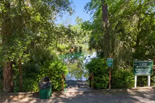 9781 SW 196th Cir, Dunnellon, FL 34432 - Photo 54