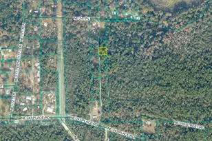 Tbd N Situs, Fort Mc Coy, FL 32134 - Photo 1