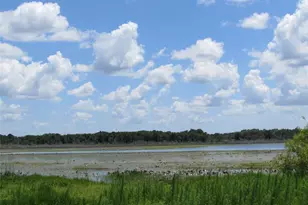 21506 SW Peach Blossom St, Dunnellon, FL 34431 - Photo 54