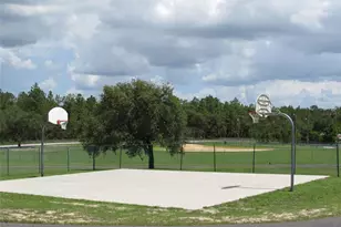 21506 SW Peach Blossom St, Dunnellon, FL 34431 - Photo 52