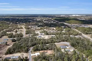 3271 SW 158th Loop, Ocala, FL 34473 - Photo 30