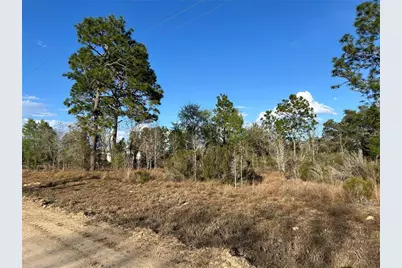 1091 NE 127th Court, Williston, FL 32696 - Photo 2