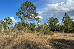 1091 NE 127 Ct, Williston, FL 32696 - Photo 1