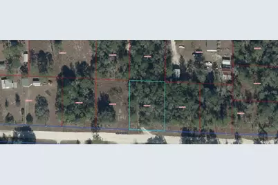 (Tbd) NE 54, Williston, FL 32696 - Photo 2
