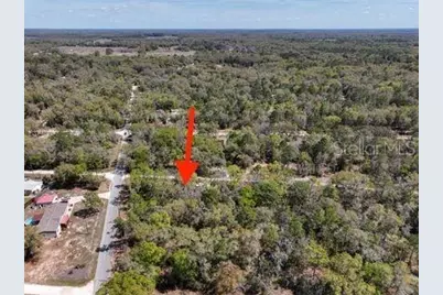 Ne 54 Place, Williston, FL 32696 - Photo 2