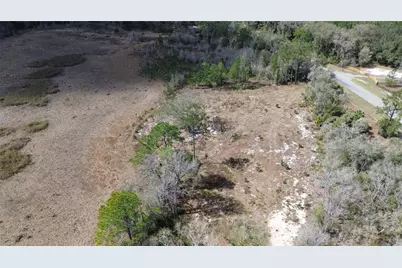 E Hwy 316, Citra, FL 32113 - Photo 10