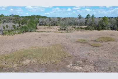 E Hwy 316, Citra, FL 32113 - Photo 4