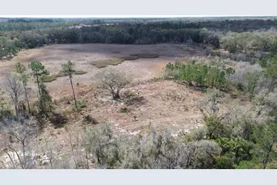 E Hwy 316, Citra, FL 32113 - Photo 8